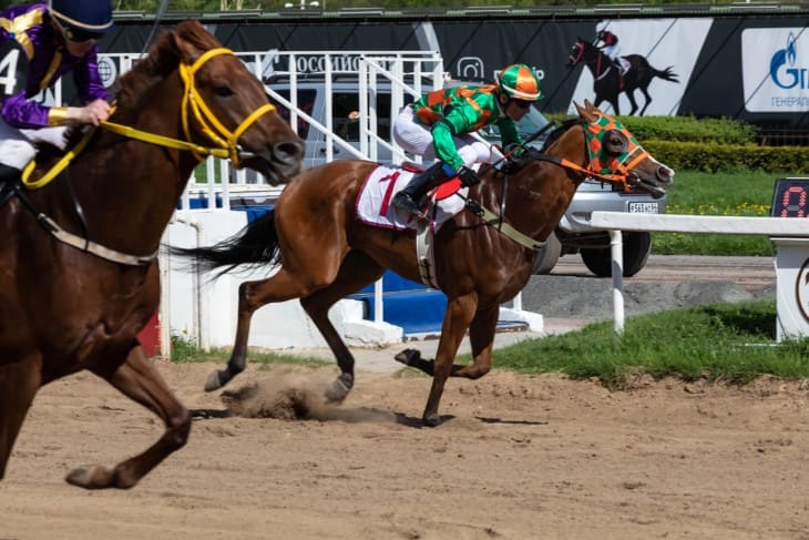 Horse Racing Scratched Explained: Your Simple Guide to Late Withdrawals.