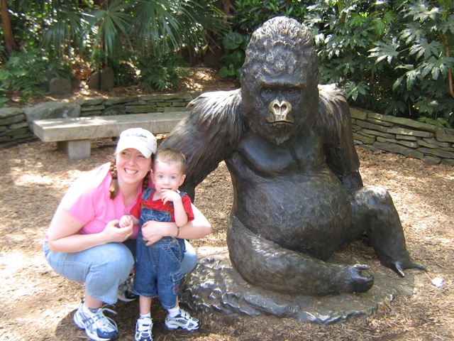 Who is Willie B Jr? Discover the Legend of Zoo Atlantas Famous Gorilla.