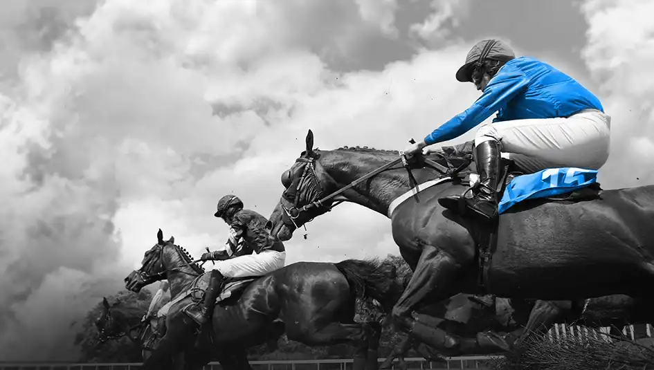 Winning with Horse Racing Exacta: Simple Strategies and best tips for all the players.