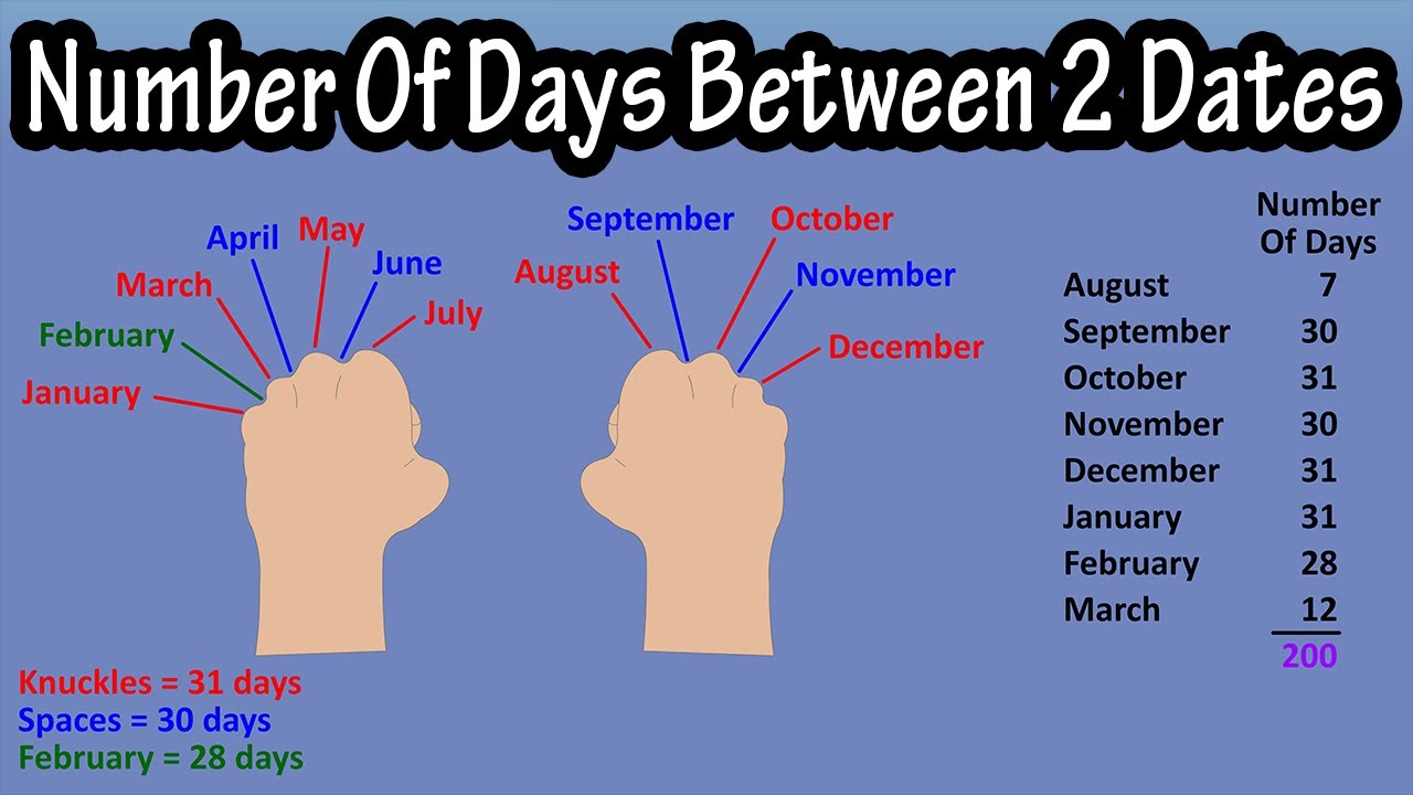 Check How Many Days to January 1st, Quick and Simple Count.