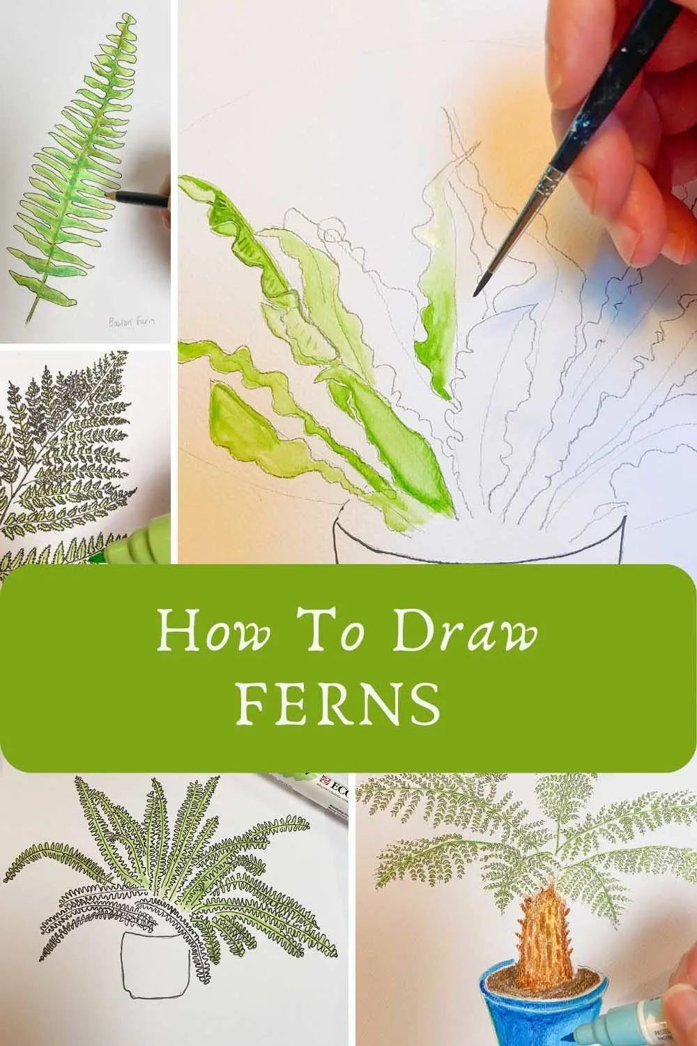 Drawing Ferns Made Simple: A Helpful Guide for All