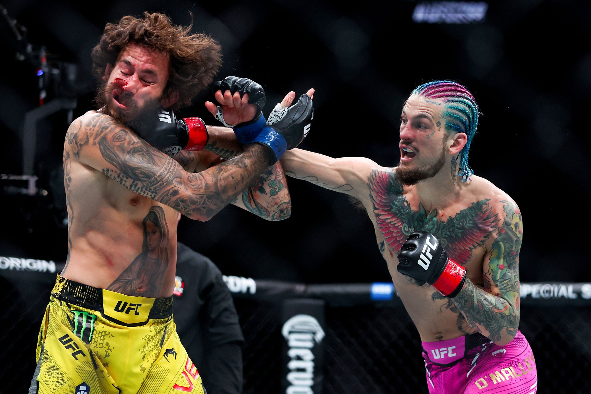 UFC Fighter From Arizona: Discover Their Journey to the Octagon!