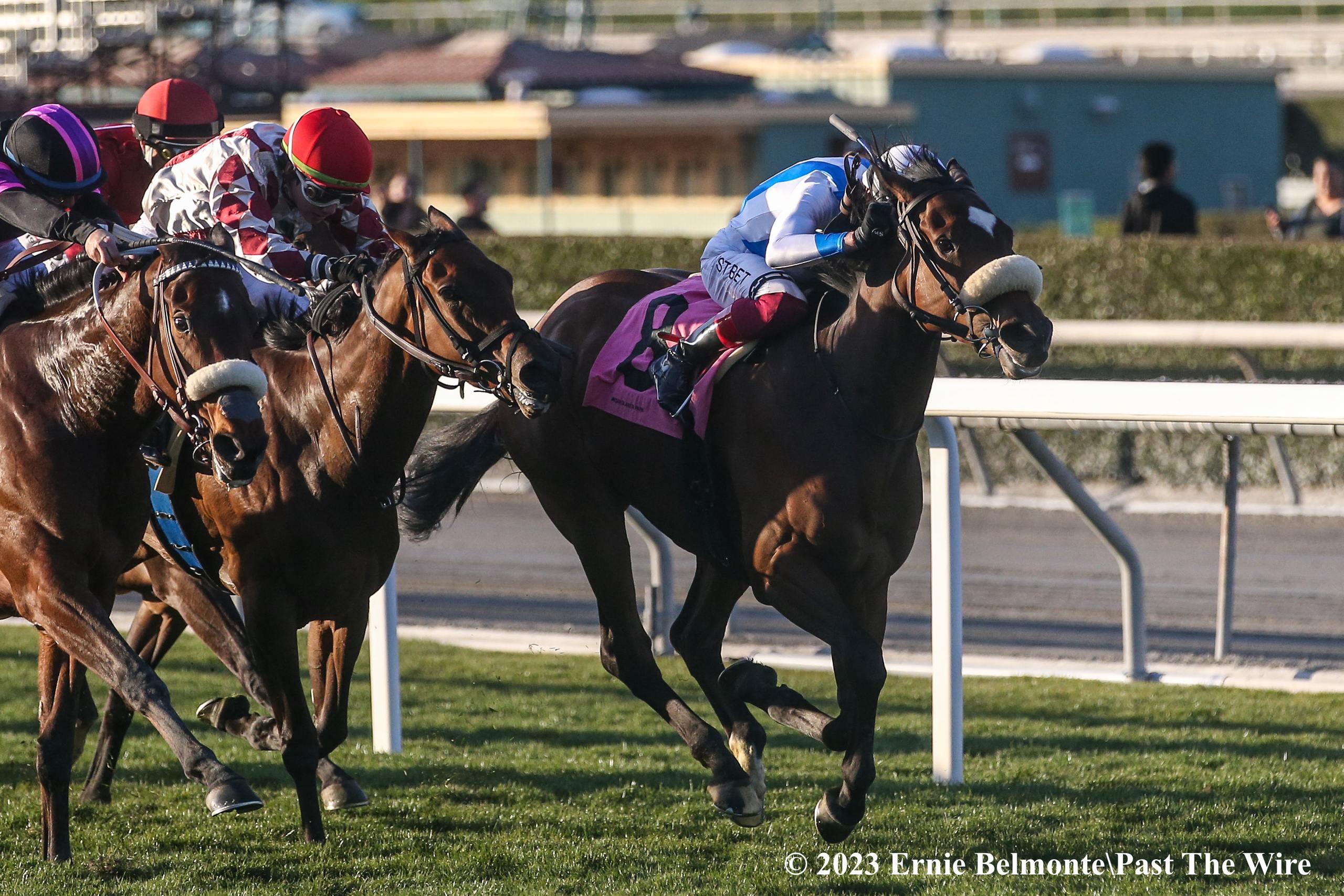 Winning with Horse Racing Exacta: Simple Strategies and best tips for all the players.