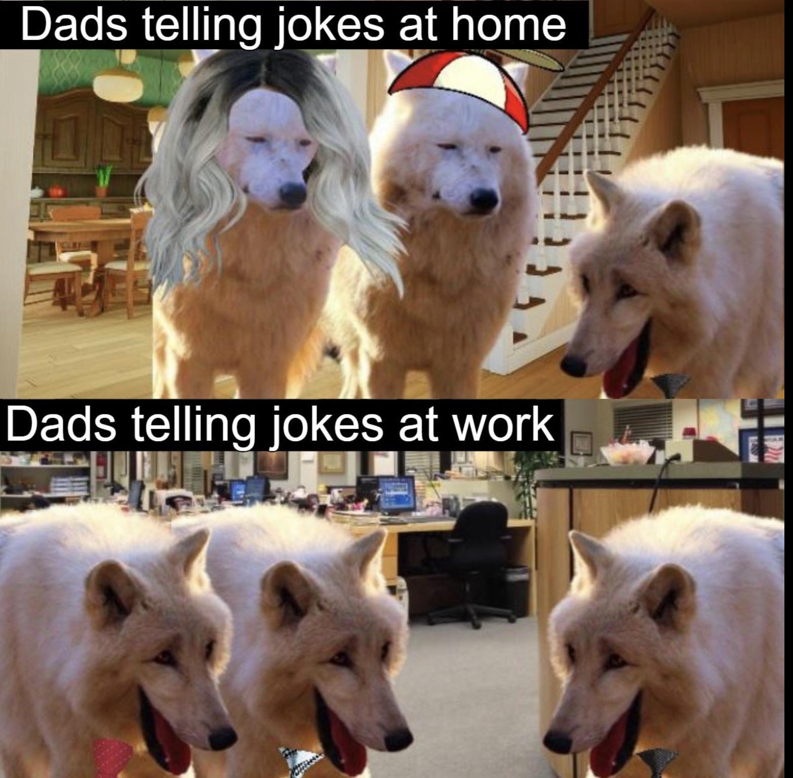 Wolves Laughing Meme: Why Is Everyone Sharing This Hilarious Joke?