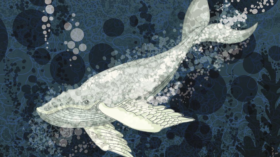 The Truth About Blue Whale Mickey: Protecting Kids from Online Dangers.