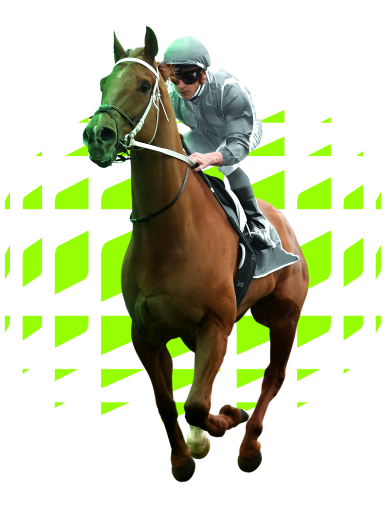 Horse Racing Scratched Explained: Your Simple Guide to Late Withdrawals.