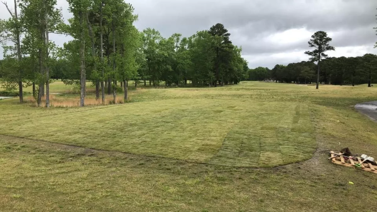 Aeropines Golf Club: Your Ultimate Guide to Tee Times & More!
