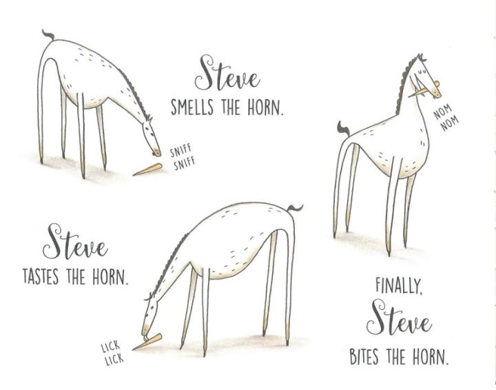 Horse Steve: The Complete Beginners Overview