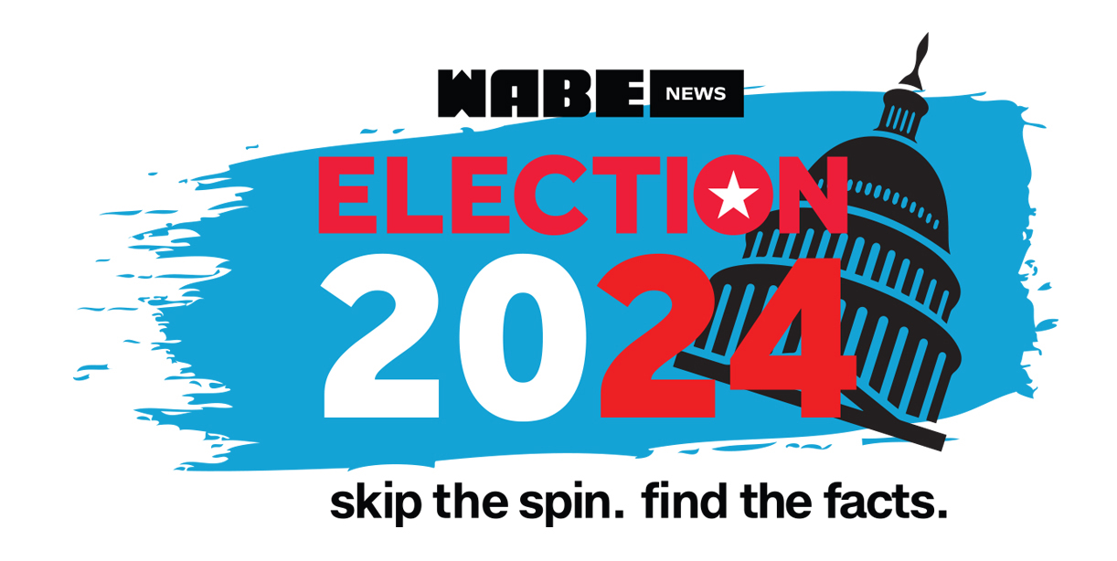 Georgia State Senate Elections 2024: Whos Running? (Simple Guide)