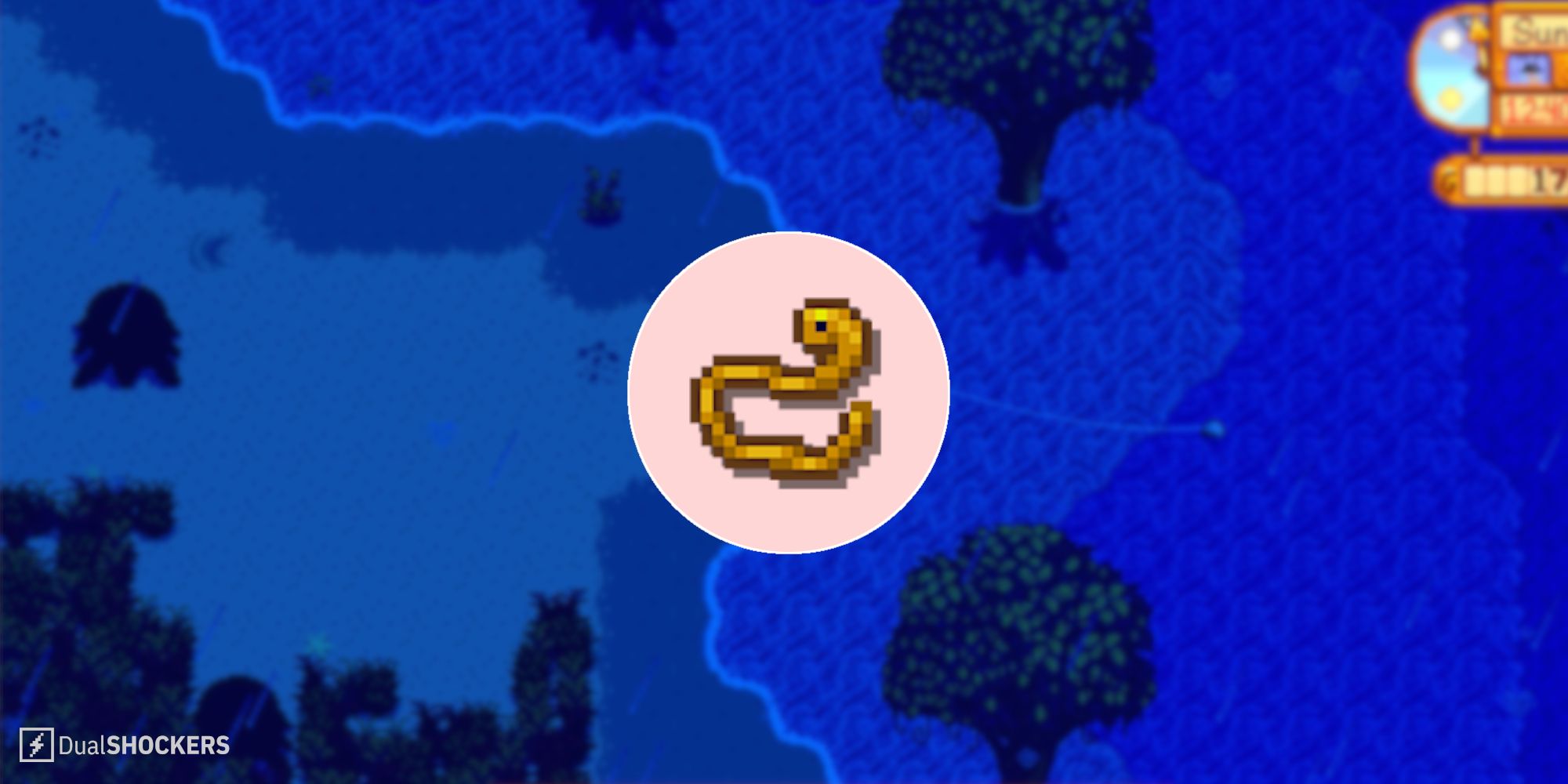 Stardew Valley Eel: Easy Catch Guide (Best Spots & Times)