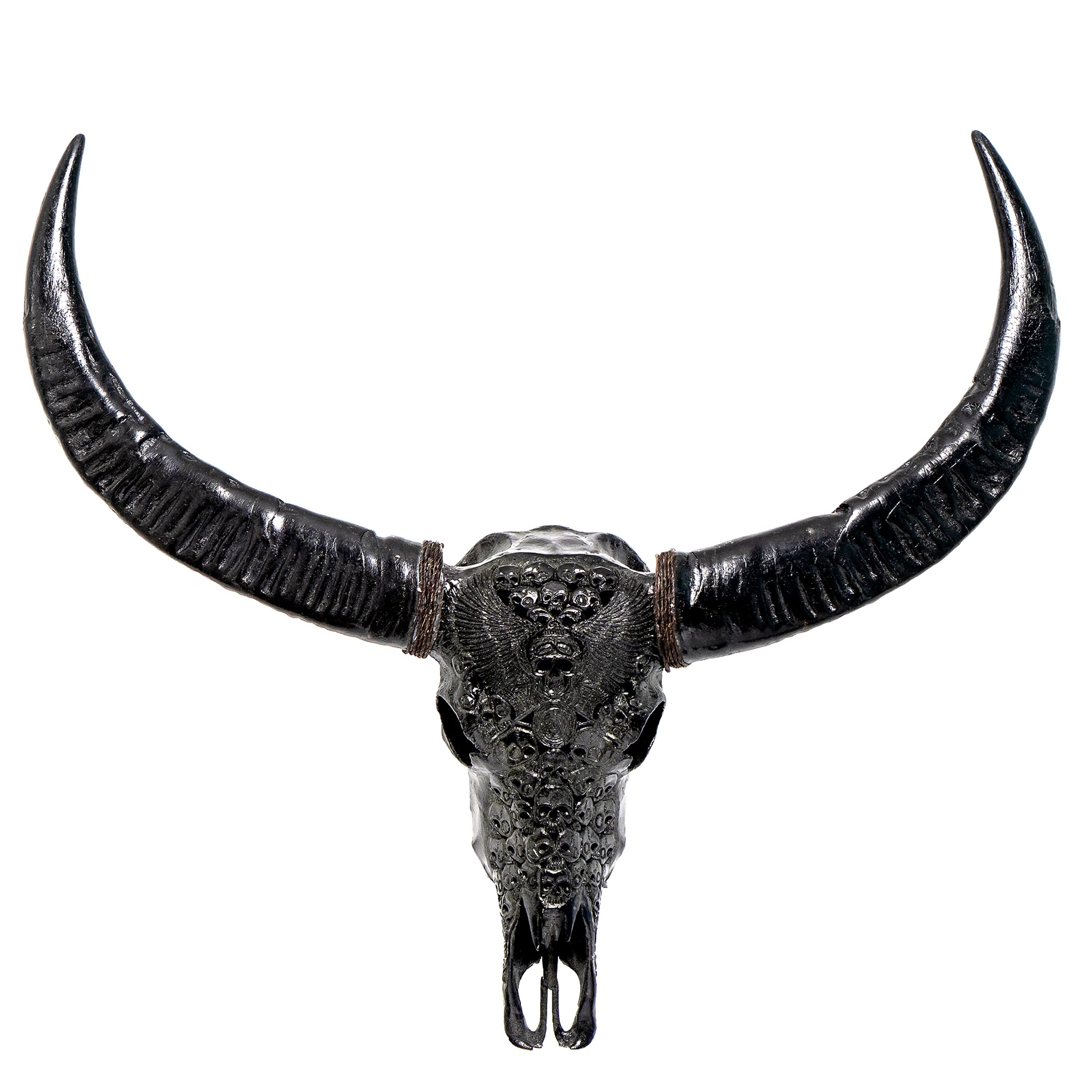 Buy Carabao Skull : Everything You Need to know before your order!