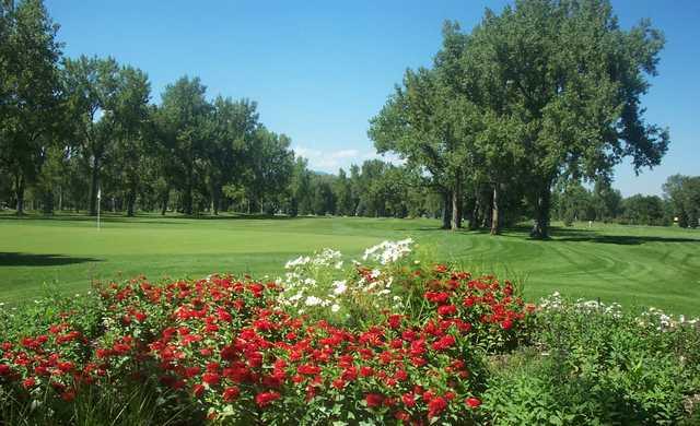 Flatirons Golf: Your Ultimate Guide to Teeing Off!