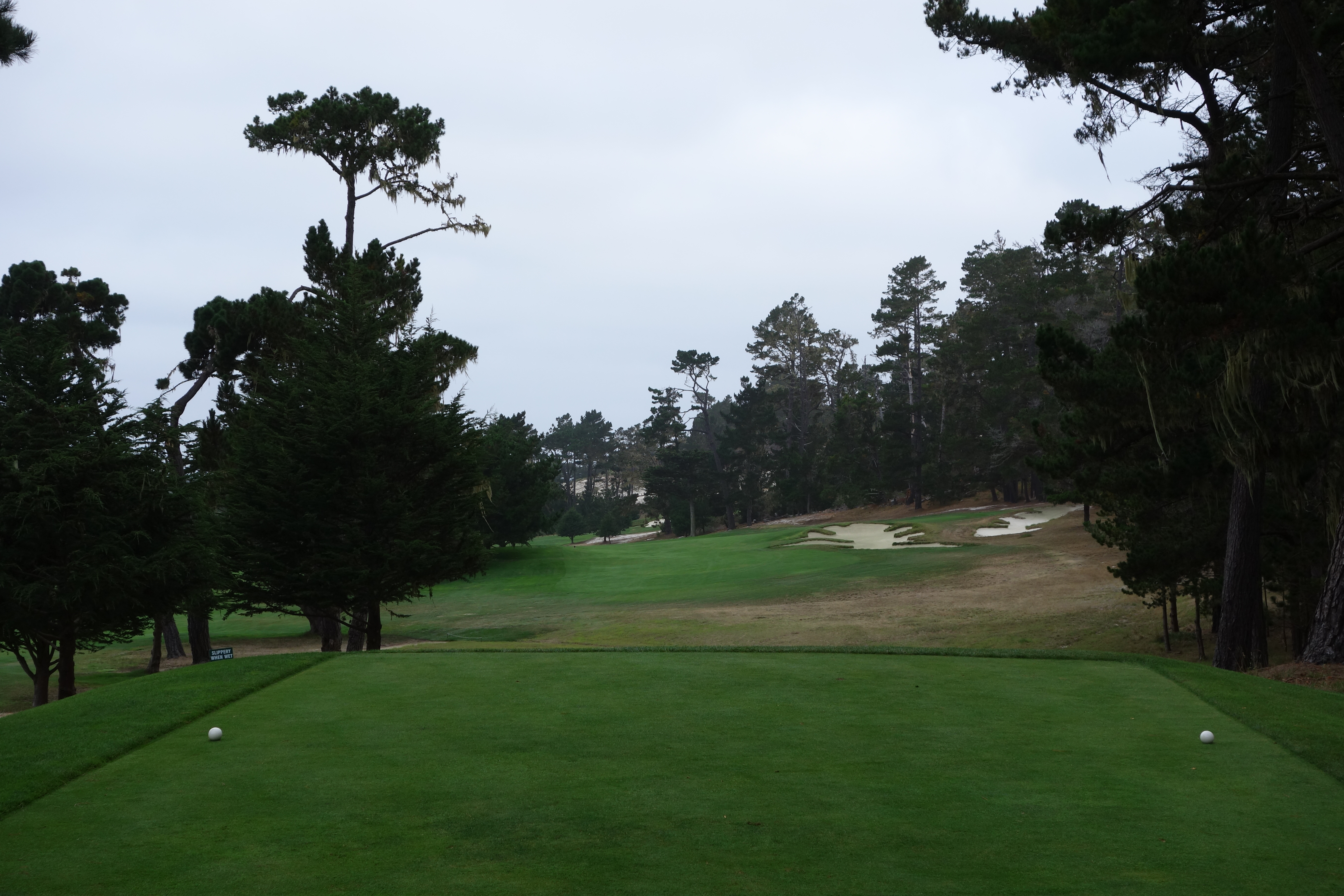 Playing Cypress View Golf Course? (Read This Before You Go! Tips & Reviews)