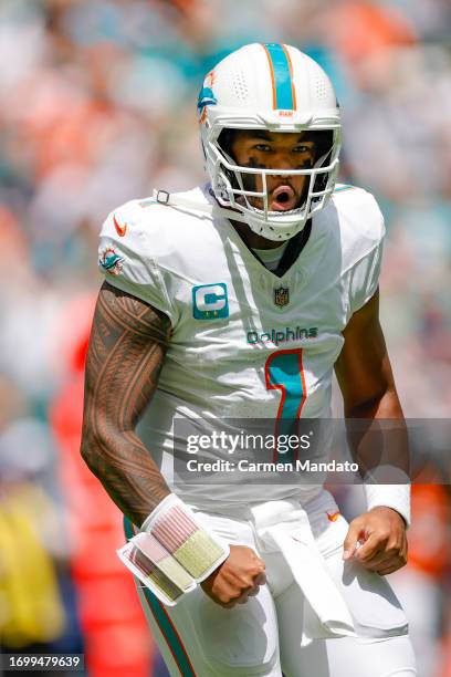 Tua Pictures Download: Get all photos you want easily!