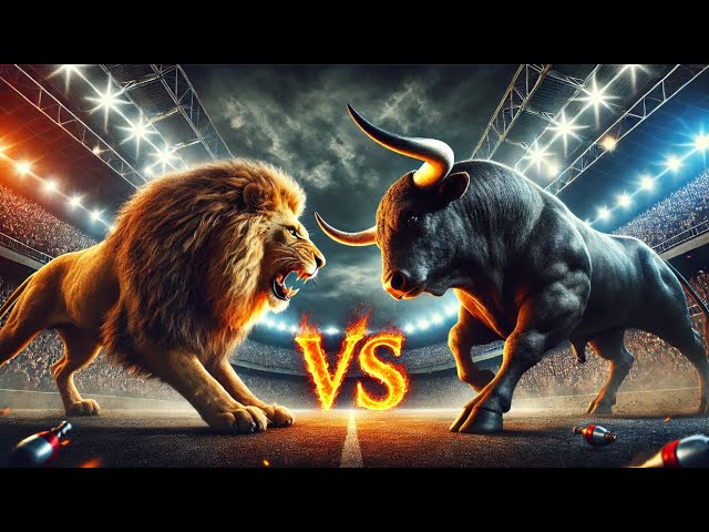 Lions Bulls Showdown: Comparing the Strength and Power of Each Creature Easily.