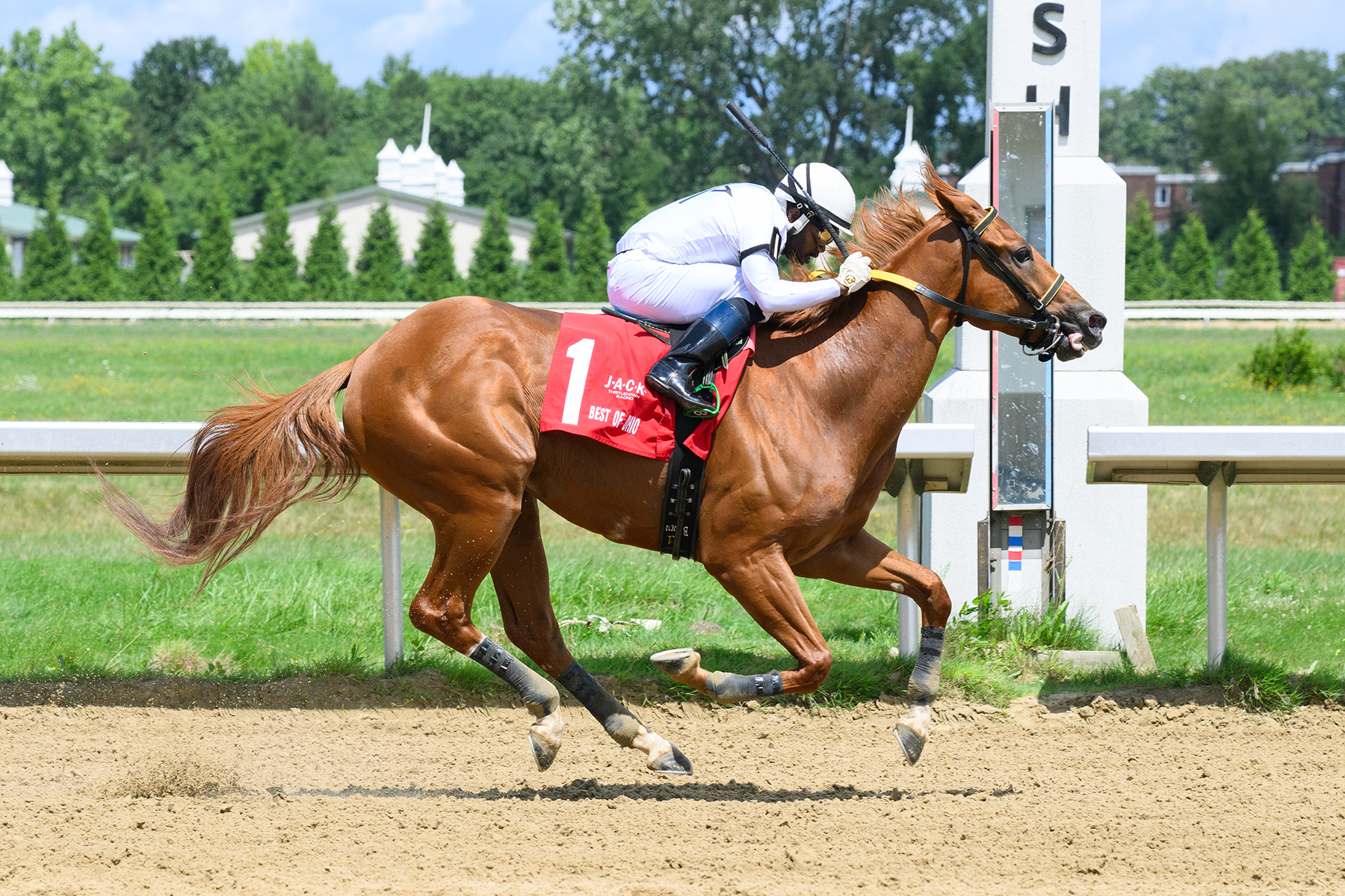 Where can you find the thistledown race track live stream? Simple steps to get access right now.
