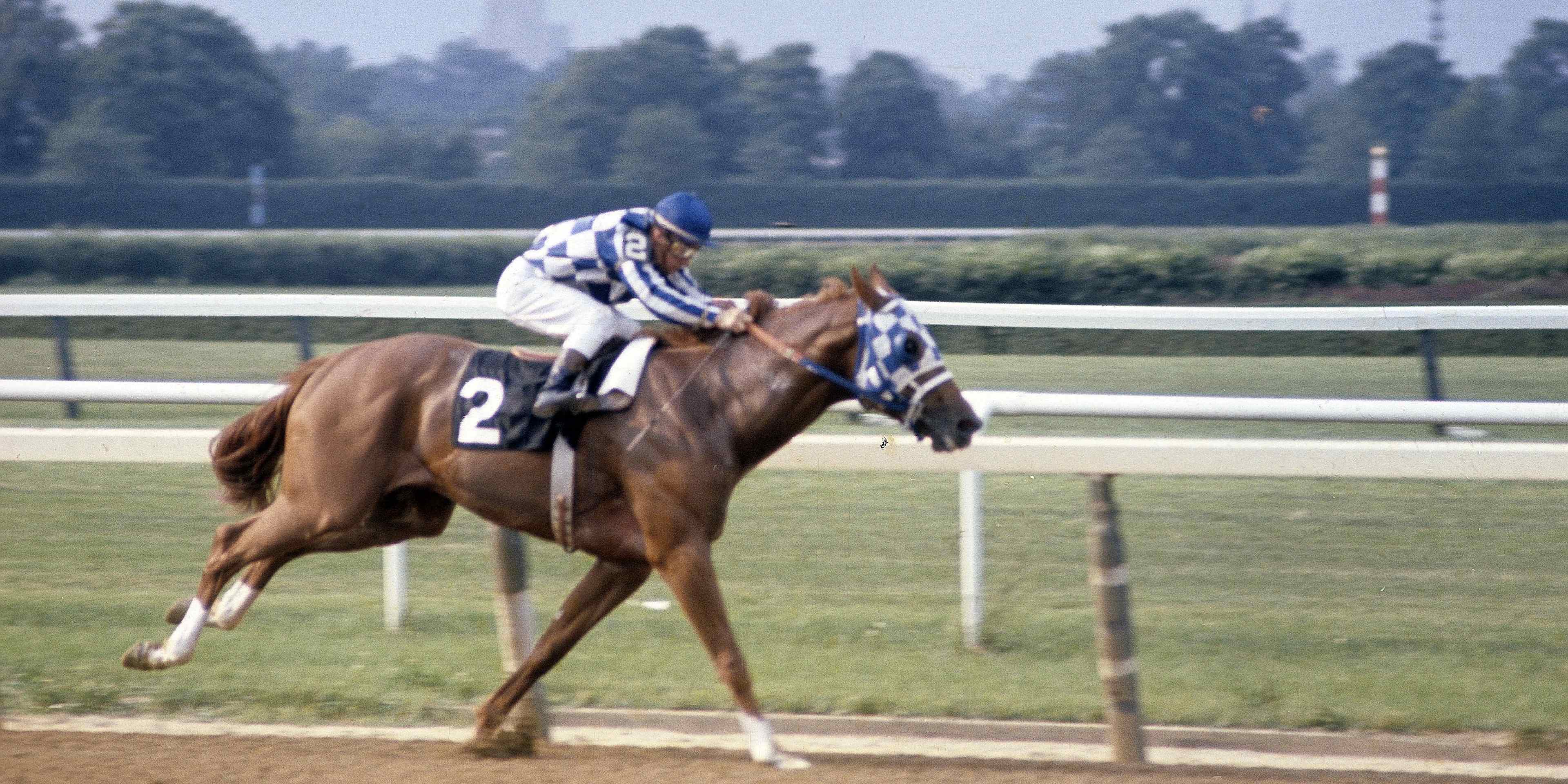 Looking for the triple crown race for short name? Get the quick answer today.
