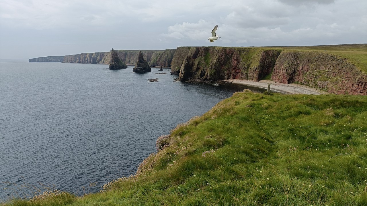 Visiting Sutherland Scotland: Top Tips & Highlights