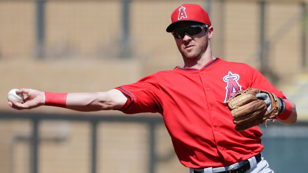 Is Andrew Romine still playing baseball today? Find out the latest updates on his career status.