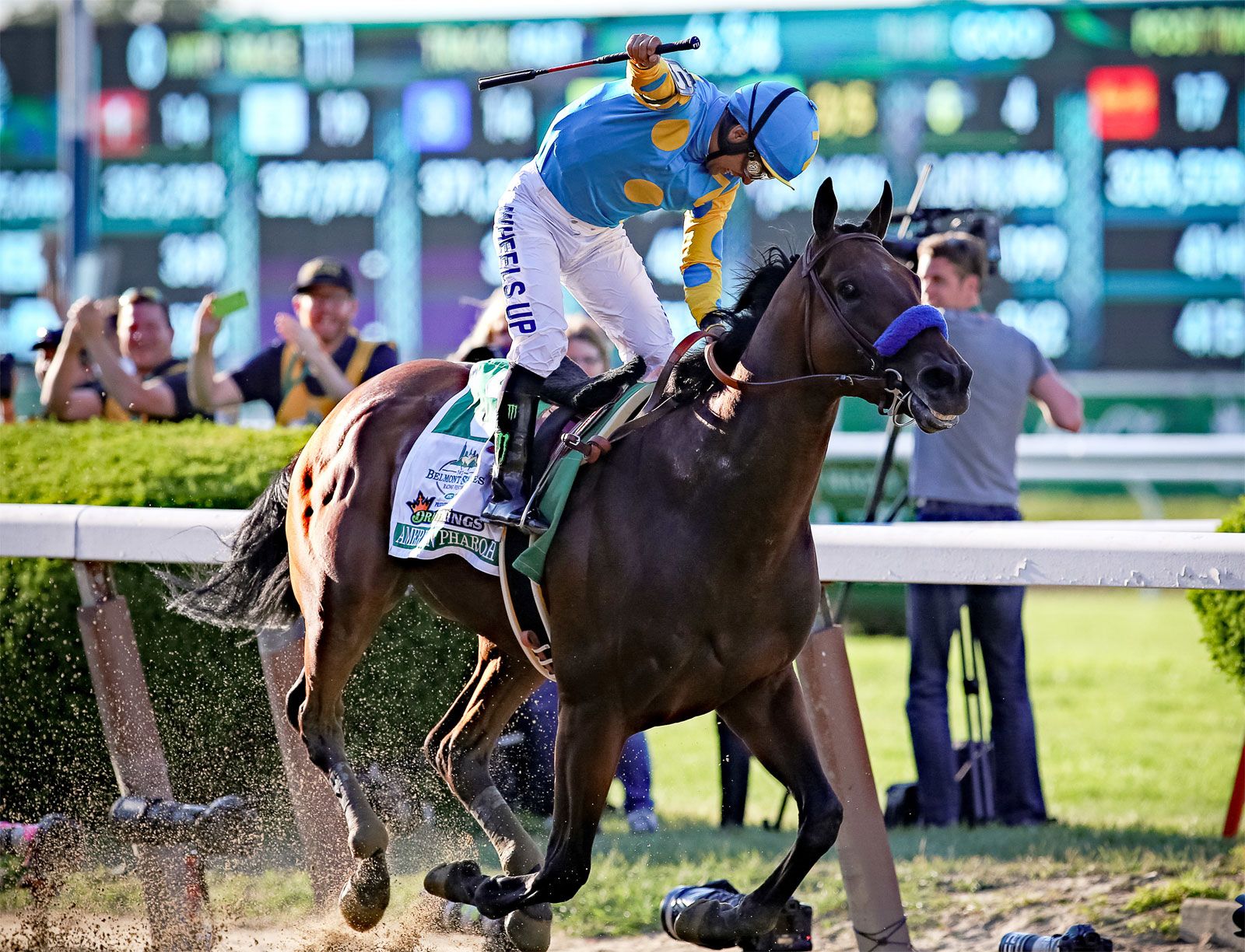Looking for the triple crown race for short name? Get the quick answer today.