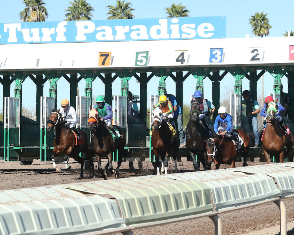 Is Turf Paradise closing for good? Find out the latest news and updates regarding the racetracks future plans.