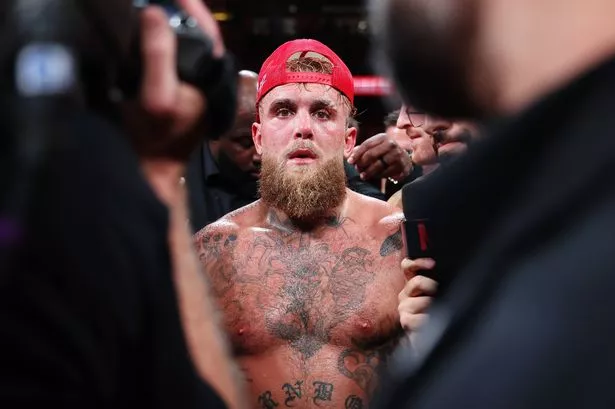 Why the constant talk about connor mcgregor jake paul fighting? (Understanding the hype and possibility)