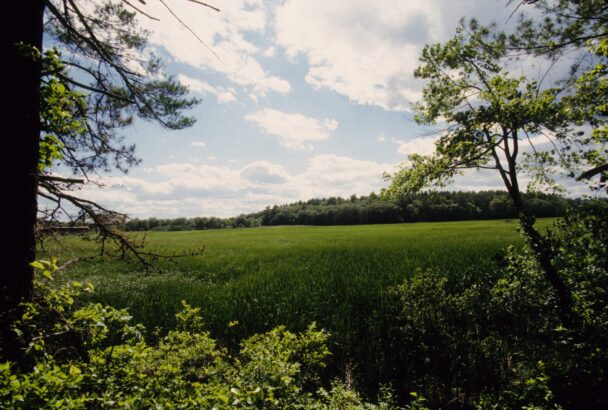 Visiting Two Mile Farm: Your Ultimate Guide and Tips