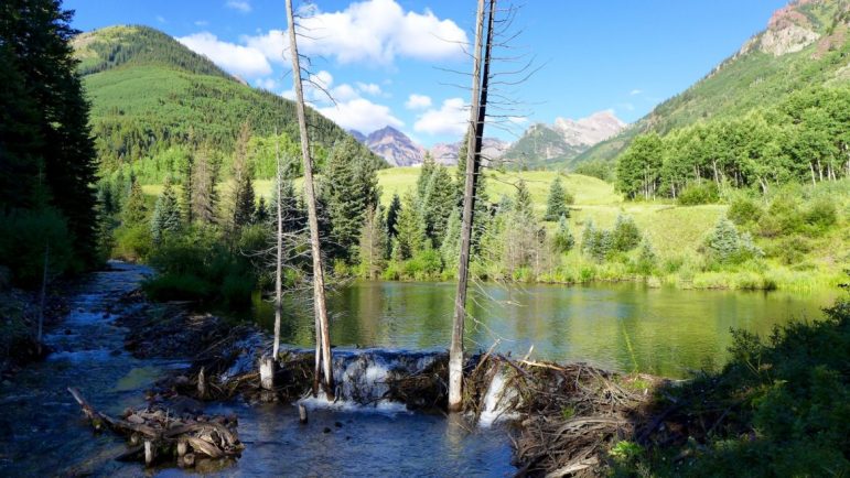 What makes Reservoir Creek worth visiting? Find out about its unique features and natural beauty.
