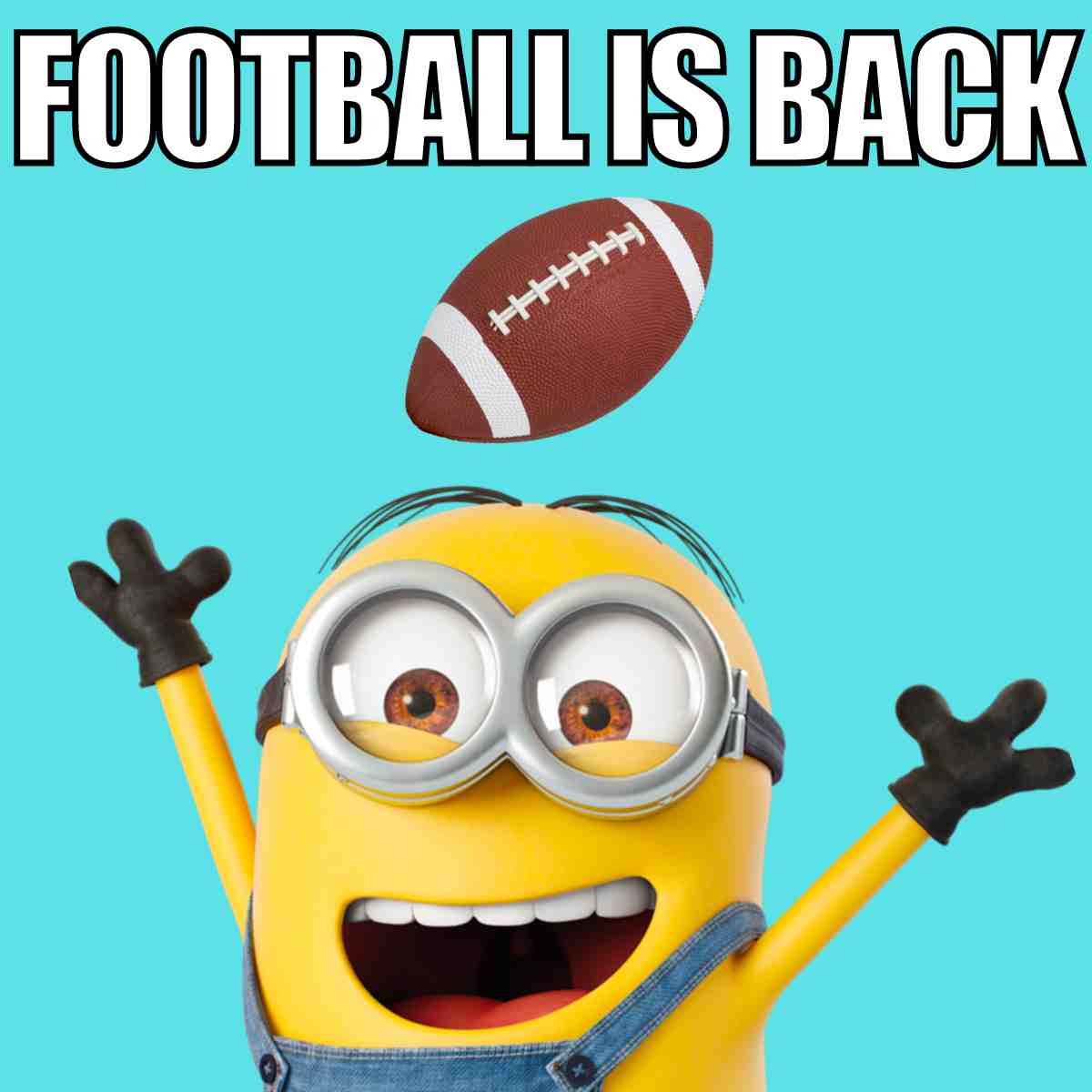 Funny Football Pics That Will Make You LOL: Guaranteed Laughs Here!