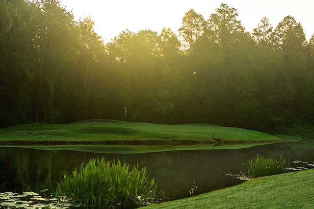Playing Tampa Palms Golf: What is it like? Get insider tips for your game.