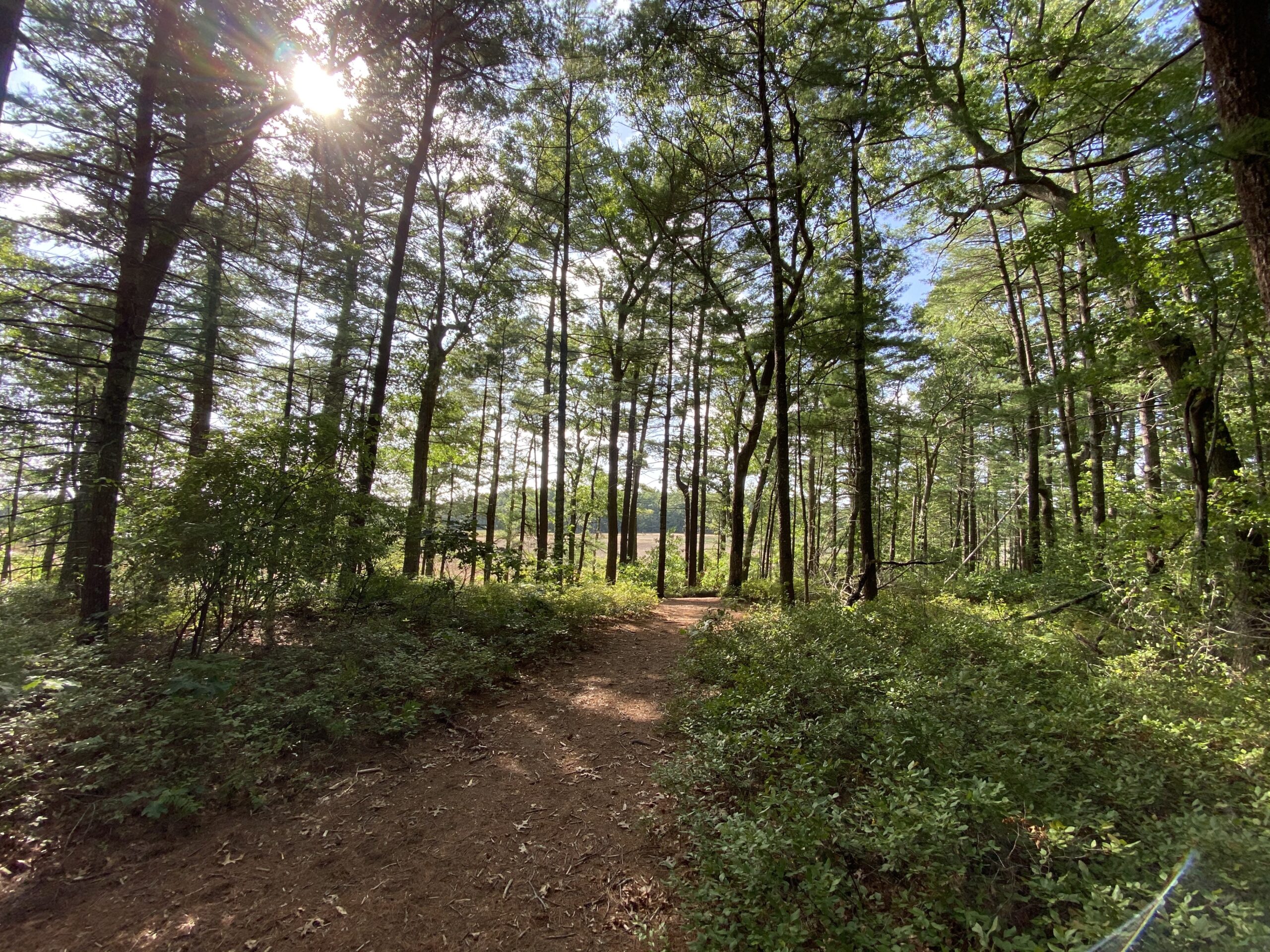 Visiting Two Mile Farm: Your Ultimate Guide and Tips