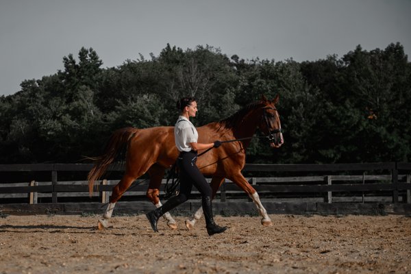 Victory Stables Colts Neck NJ: Your Horses Home Awaits!