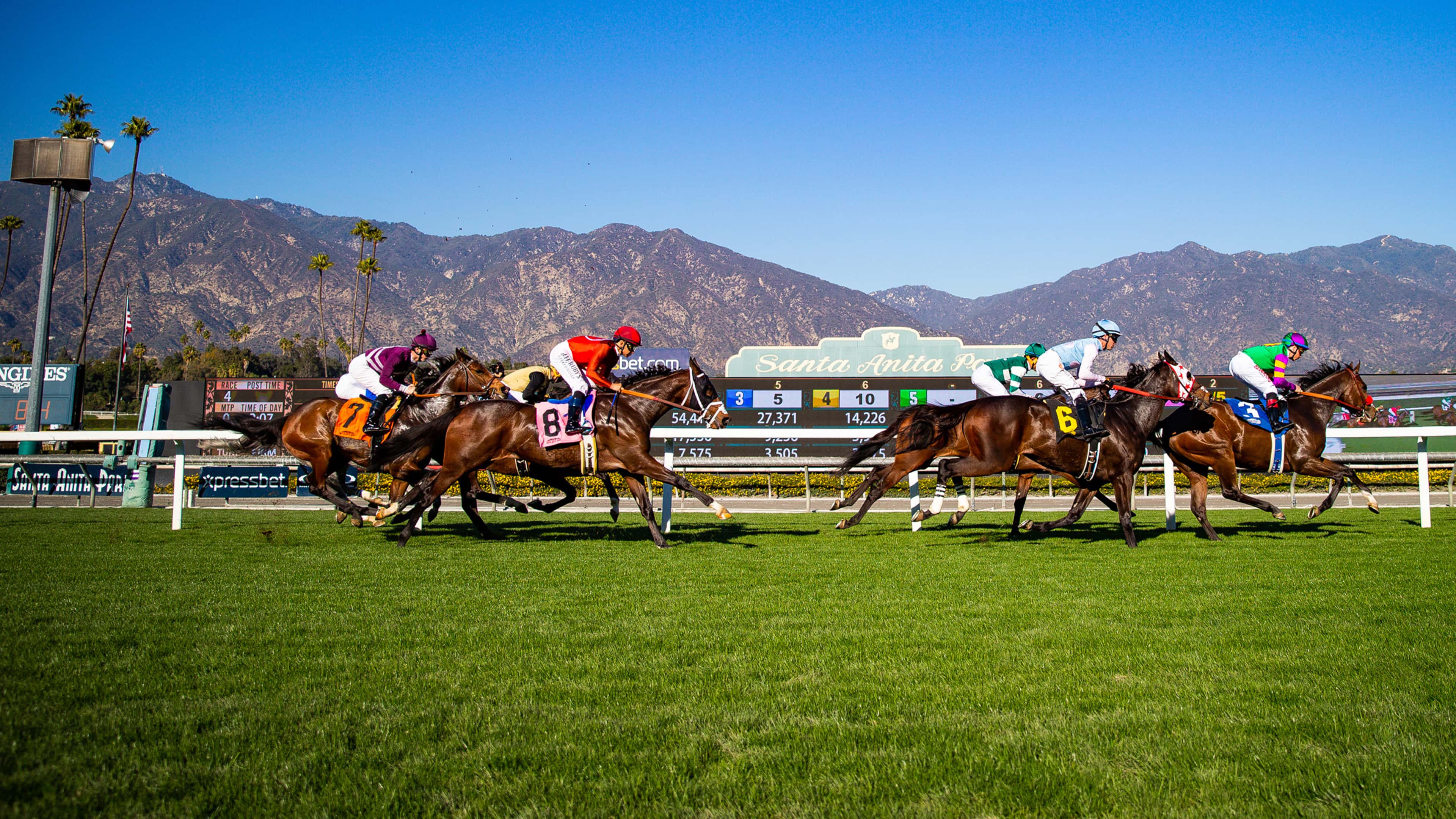 Santa Anita Park Race Results: Find Winners Here!