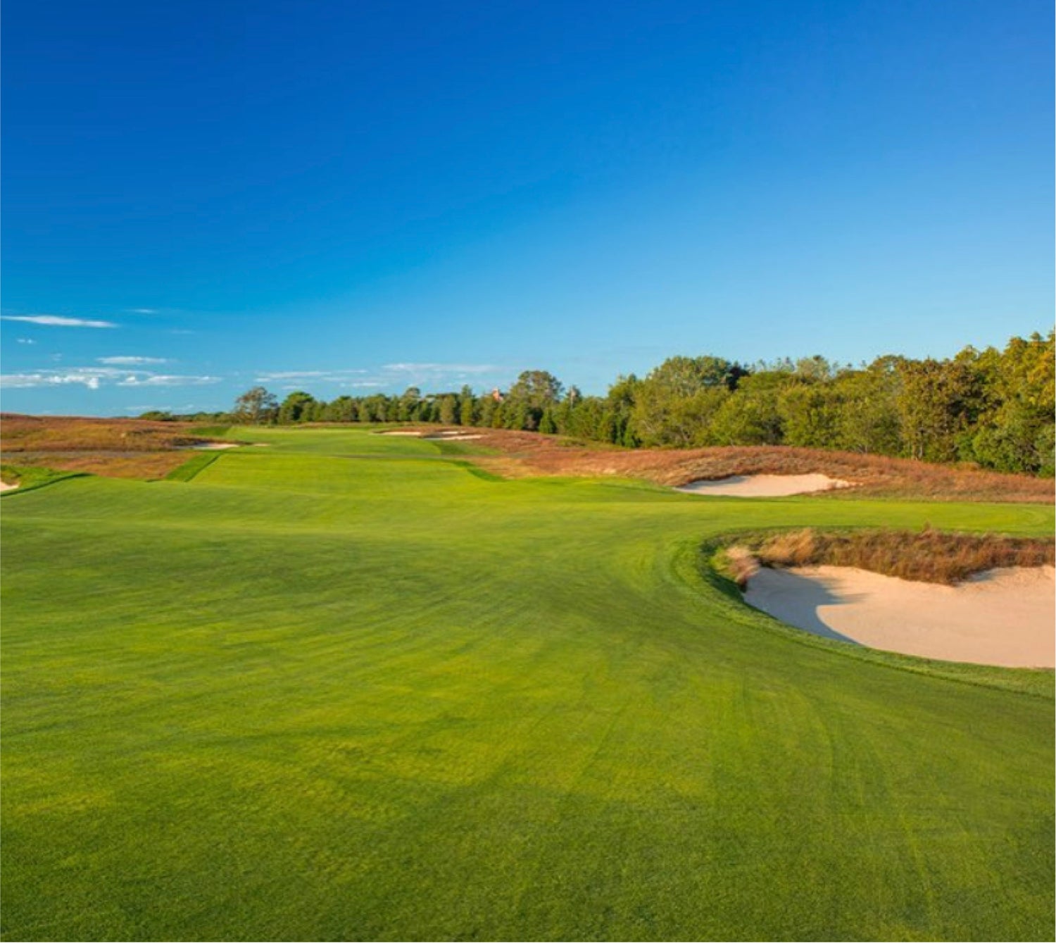 Shinncock Golf Course: Your Ultimate Guide to Playing Like a Pro!