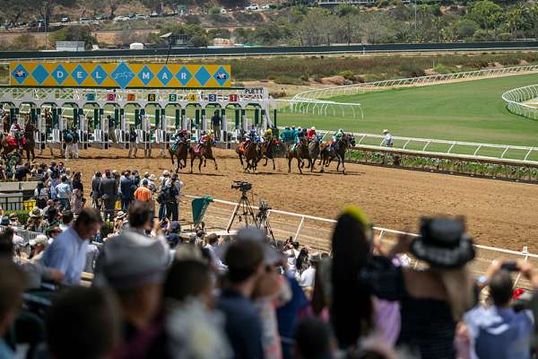 Looking for results from del mar yesterday? Get a full recap of all the Del Mar horse racing action.