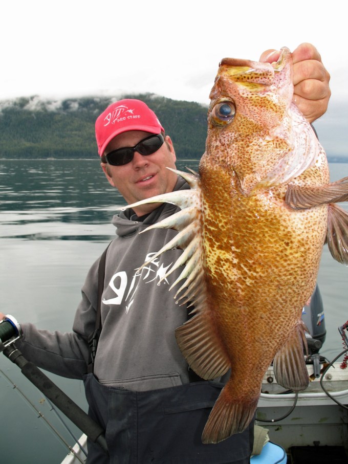Tips for catching the rock cod fish (Expert advice to help you catch this popular fish)
