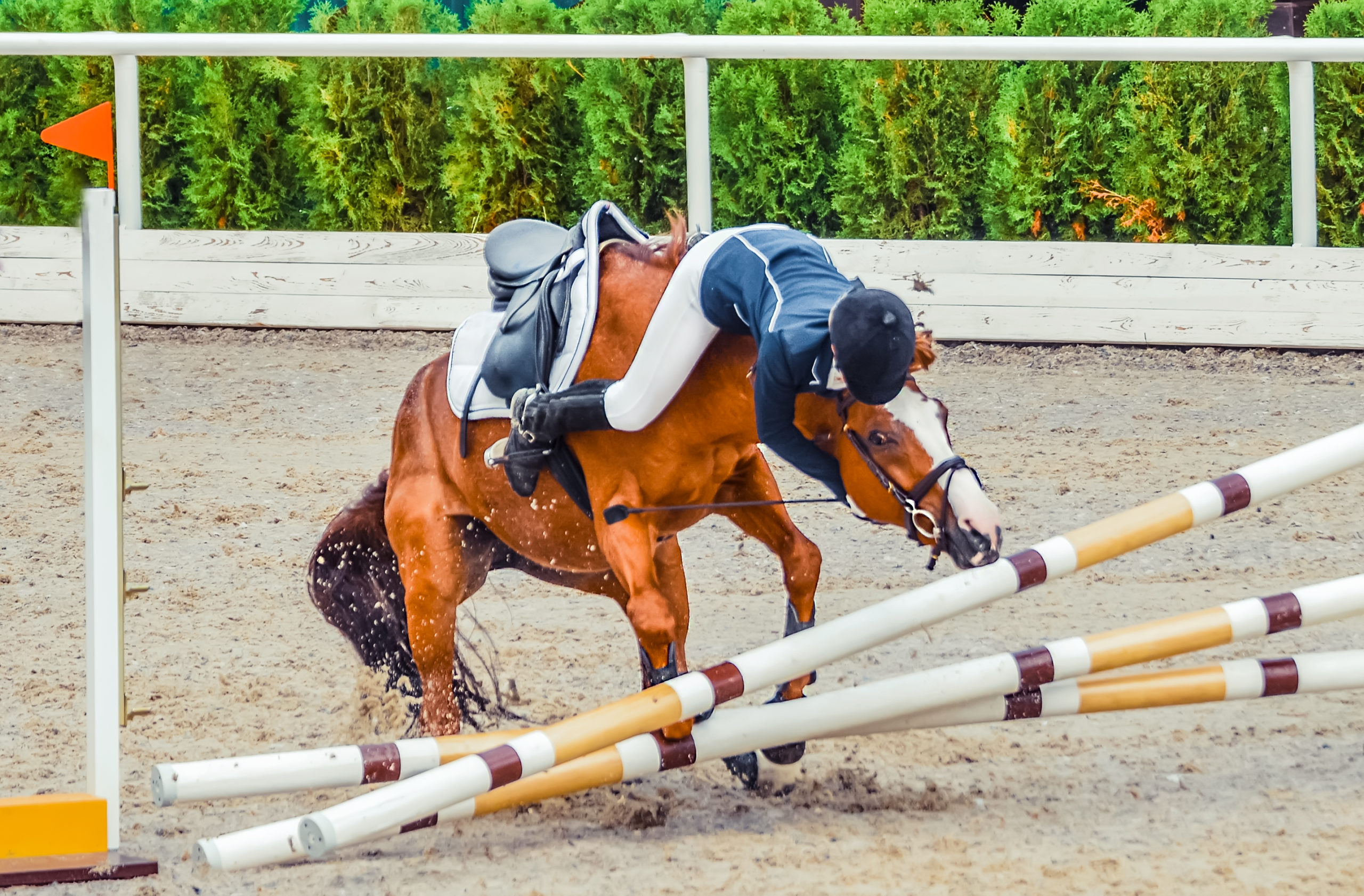 Horse breaks while riding, whats going on? Find out why and how to stop it.