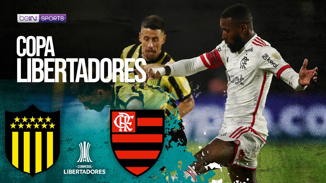 Analyzing the Penarol Flamengo rivalry? Understand the history and significance of this matchup.