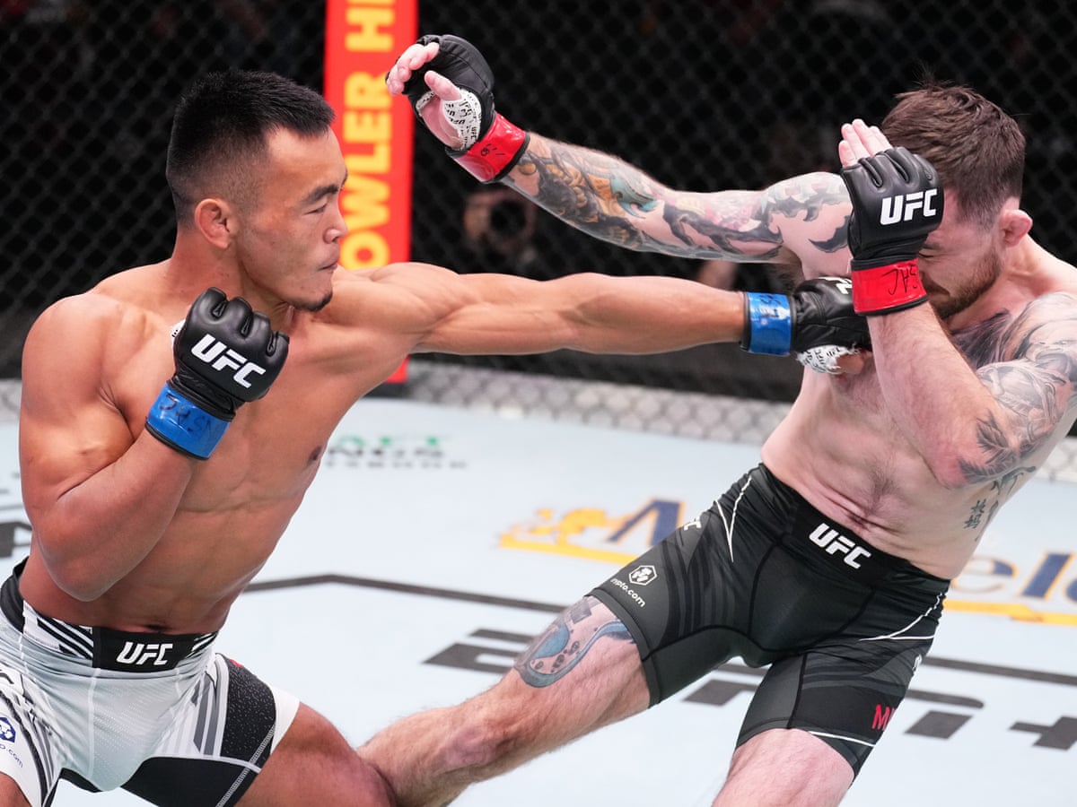 What about UFC fatalities? We investigate the truth behind claims that have people died in UFC.