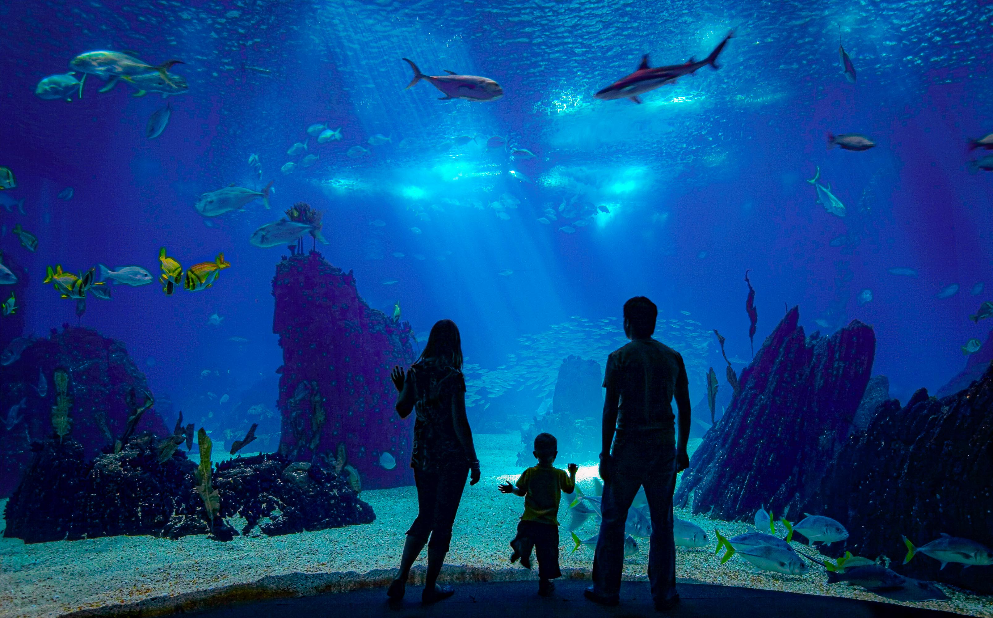 What makes a good exhicion so special? Find out before your next interesting visit.