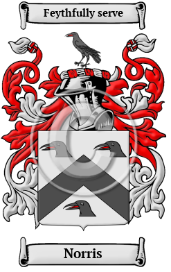 What is the origin of the surname Norris? Explore the historical roots of this interesting family name today.