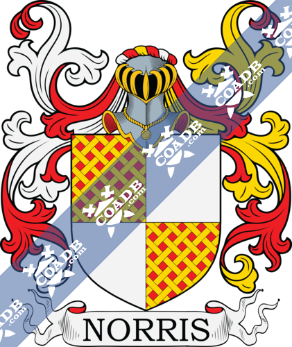 What is the origin of the surname Norris? Explore the historical roots of this interesting family name today.