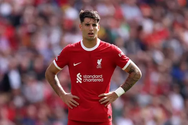 Whats new with the Andre Trindade transfer saga? Get all the freshest news and rumors about his move.
