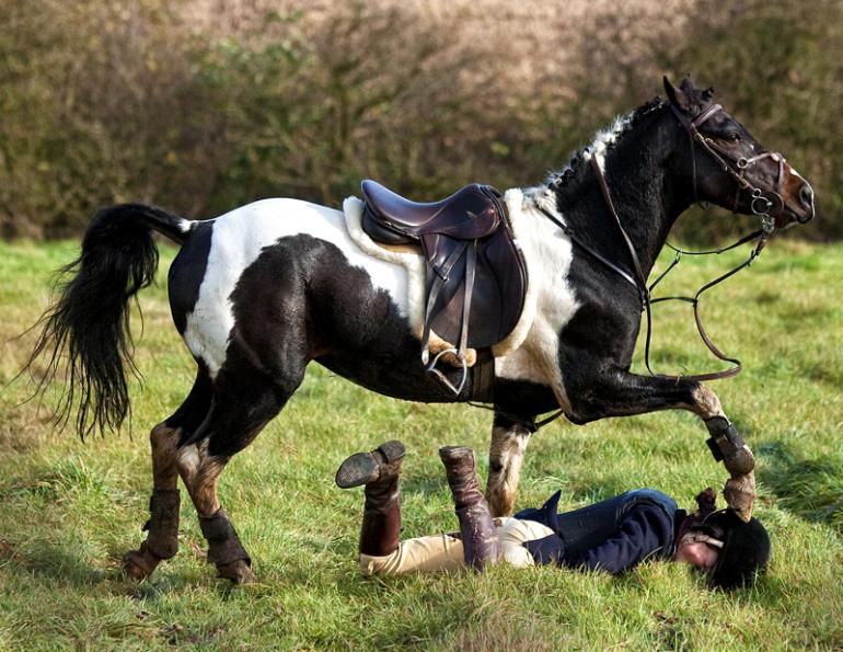 Horse breaks while riding, whats going on? Find out why and how to stop it.