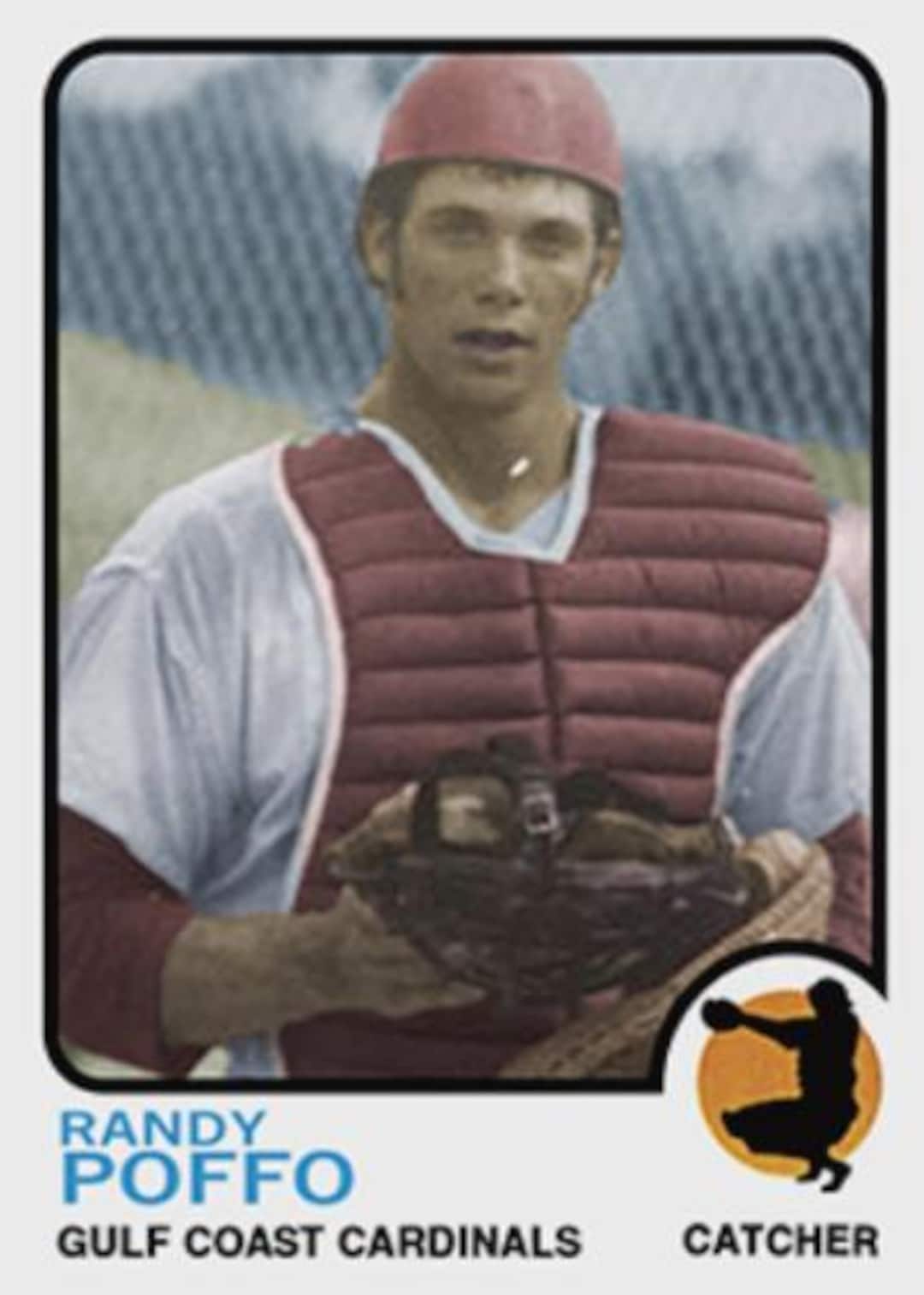 Is the randy poffo baseball card considered rare? Learn about its collectibility and overall value.