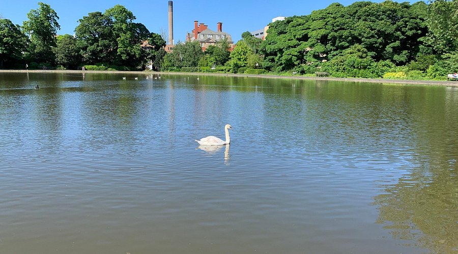 Looking for things to do in Leazes? Explore our guide to the best activities and sights nearby.