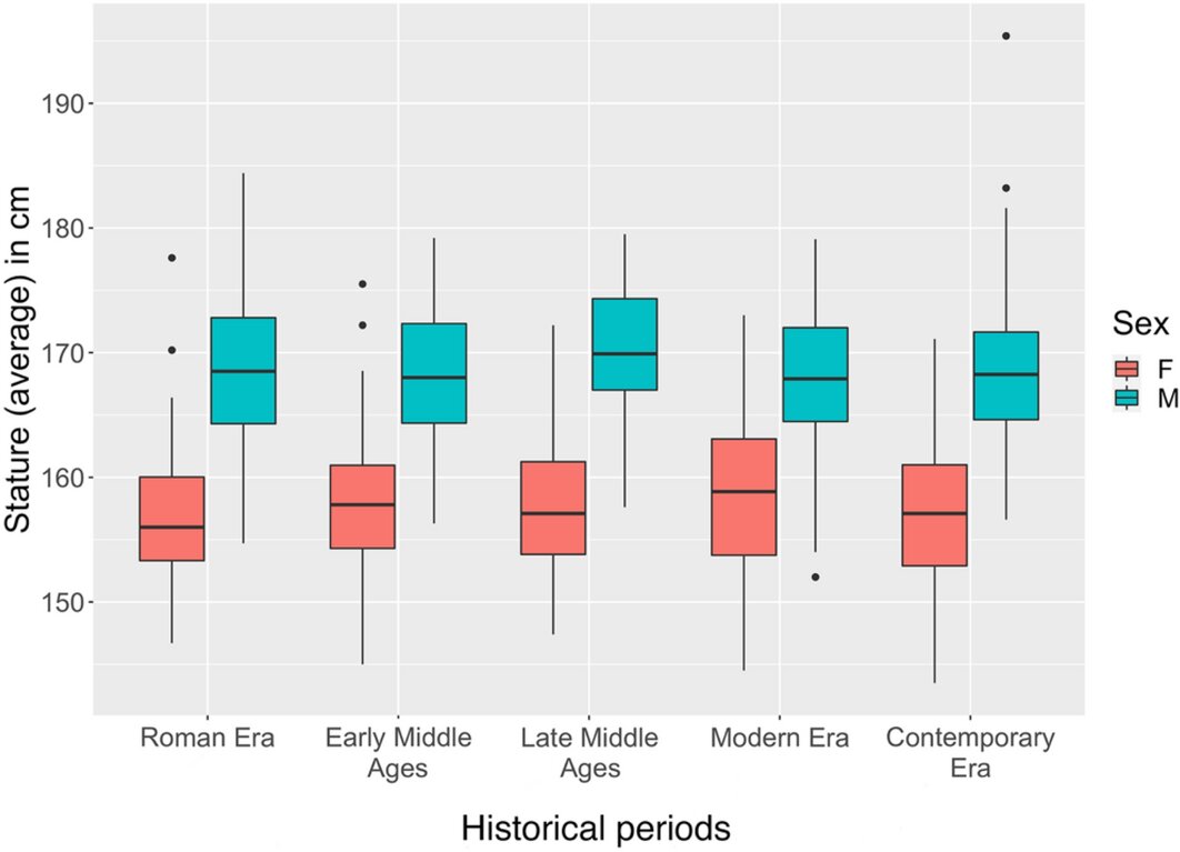 Thinking about medieval average height? Find out how much people have changed over the centuries!