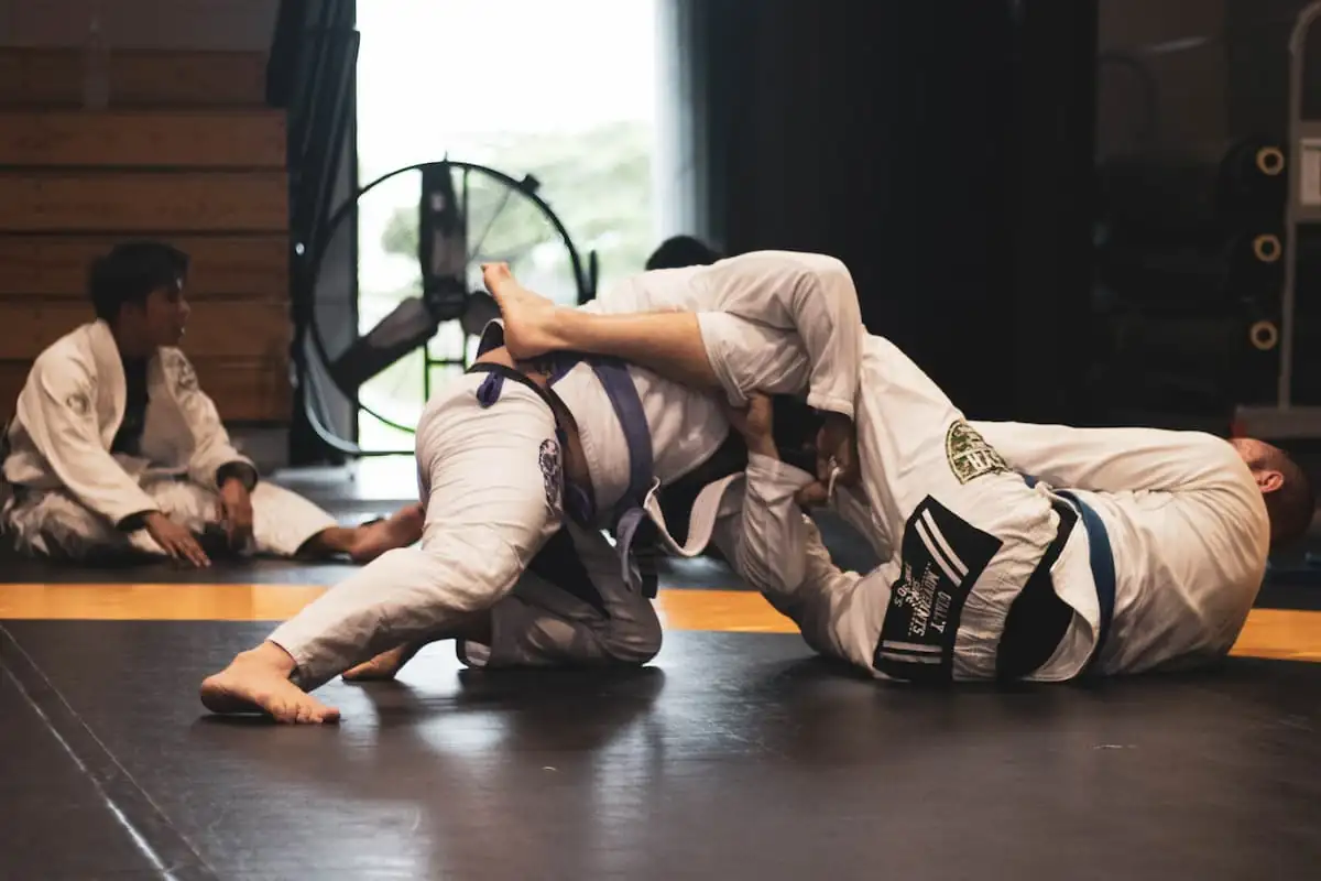 What are the next mma events nyc happening? Get your fight schedule ready for these unmissable New York City battles.