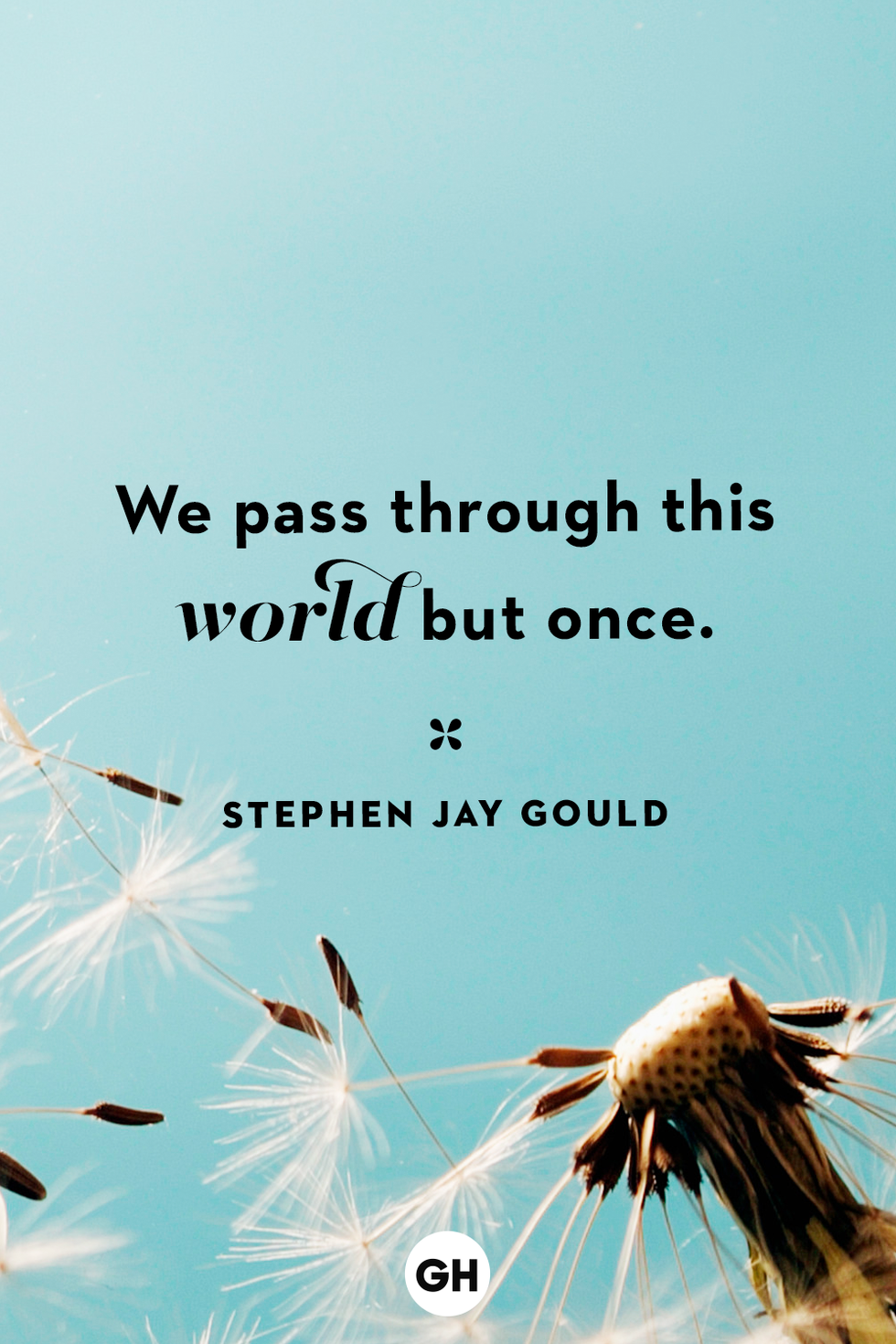 Best quotes on number 3 you should know: A great collection of witty and wise words.